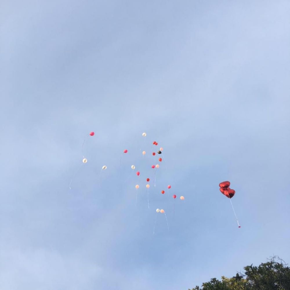 Meet your Posher, Marion